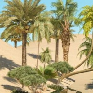 Meet your Posher, your_oasis